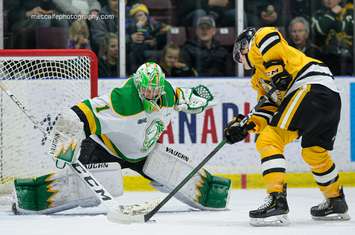 Sarnia Sting battle the London Knights from Progressive Auto Sales Arena. 1 February 2020. (Photo by Metcalfe Photography)