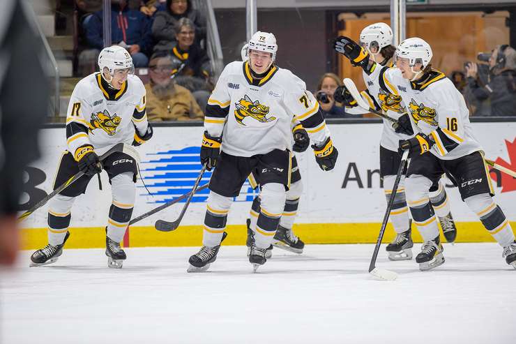 Sarnia Sting host Brampton Steelheads, Nov 30, 2024 (Photo by: Darren Metcalfe Photography)