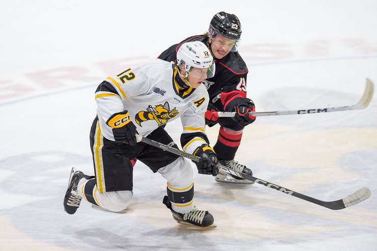 The Sarnia Sting host the Niagara Ice Dogs, Oct 26, 2024 (Photo by: Darren Metcalfe Photography)