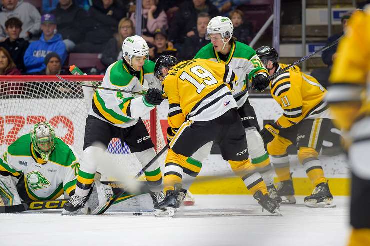 London Knights visit Sarnia Sting, January 1, 2025. Photo by Metcalfe Photography. 