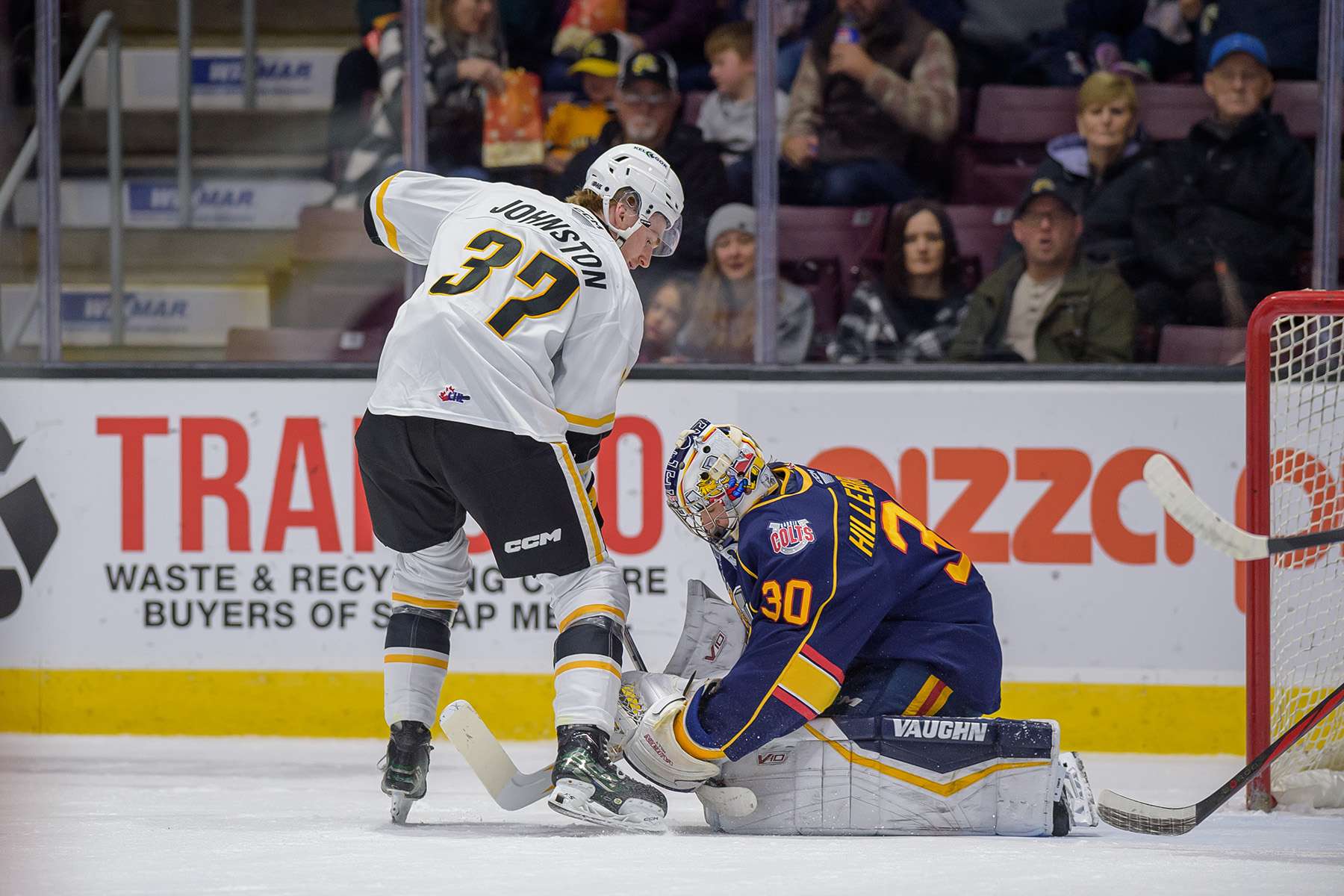 Sting deal Johnston to Saginaw