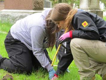 Western University students Alyssa Szilagyi and MacKenzie Brash uncovering Confederation-era tombstones at Woodland Cemetery, May 11, 2017. (Photo by Miranda Chant, Blackburn News.)