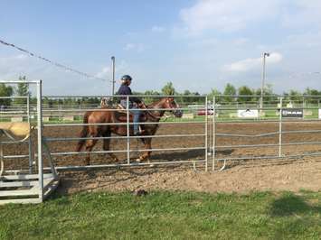 The Ultimate Rodeo Tour in Pain Court, July 17, 2015. (Photo by the Blackburn Radio Summer Patrol)