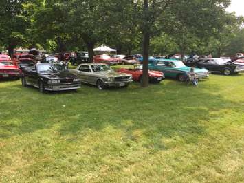 Residents from Thamesville and the surrounding area attend the 40th annual Threshing Festival in Thamesville, July 4, 2015. (Photo by the Blackburn Radio Summer Patrol)