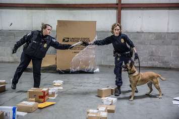 A newly formed Detroit Metro Global Trade Task Force (GTTF) is off to a flying start. (Mar 12, 2019. (Photo courtesy of ICE)