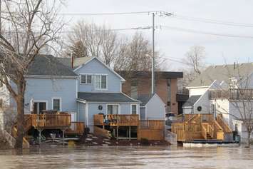 Houses behind the Civic Centre in Chatham. February 25, 2018. (Photo by Natalia Vega)