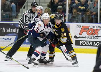 The Windsor Spitfires take on the Sarnia Sting, March 24, 2018. (Photo courtesy of Metcalfe Photography)