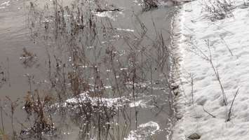 Snow melts at the bank of the Indian-McGregor Diversion Channel (Photo by Jake Kislinsky).