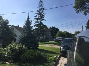 Arthur Road standoff. July 3, 2019. (Photo by Paul Pedro)