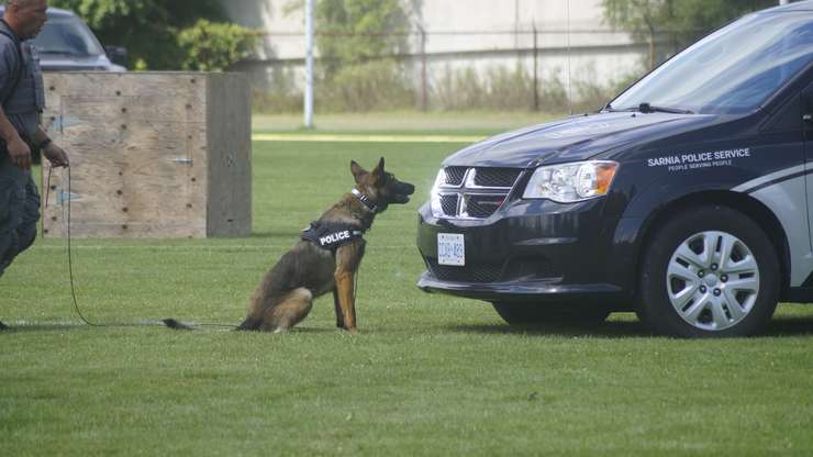 PSD Vader sniffing out evidence during a demonstration, August 9, 2024 (Photo by: Lindsay Newman/ Blackburn Media)
