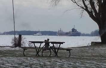 A number of freighters became stuck on the St. Clair River near Port Lambton, January 11, 2015. (Photo courtesy of Mr. Tractors)