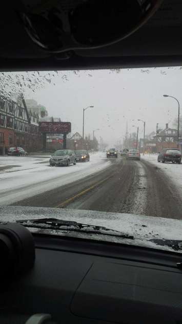 Sarnia (Photo courtesy Twitter/Sarnia Police)