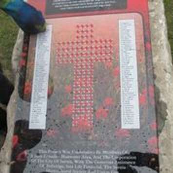 A ceremony Saturday Nov. 8, 2014 at Heritage Park marks the Boy Scouts' planting of 102 trees in memory of Sarnia's WW1 war dead. (Submitted photo)