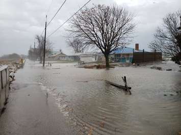 Erie Shore Drive flooding. November 16, 2020. (Photo courtesy of Jason Homewood of LTVCA)