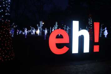 Bright Lights Windsor, Jackson Park, January 7, 2020. Photo by Mark Brown/Blackburn News.