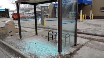 Vandals smash Transit Windsor bus shelters in Windsor's east end. (Submitted photo)