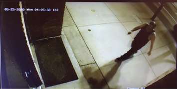 Photo of a suspect accused of breaking into a mailbox on King Street in Chatham. (Screenshot from submitted video)