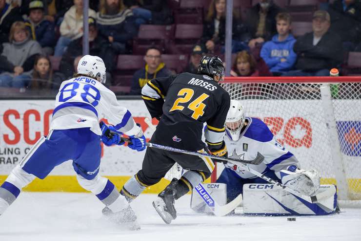 Sarnia Sting home to Sudbury, Jan 18, 2025. Photo by Metcalfe Photography. 