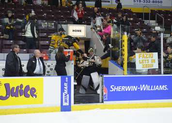 Sting goalie Justin Fazio named the 2nd star in a 5-1 win over the Knights.  February 3, 2018. (Photo courtesy of Metcalfe Photography)