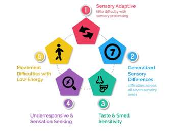 Sensory processing patterns in Autism Spectrum Disorder. Image courtesy of BrainsCAN. 
