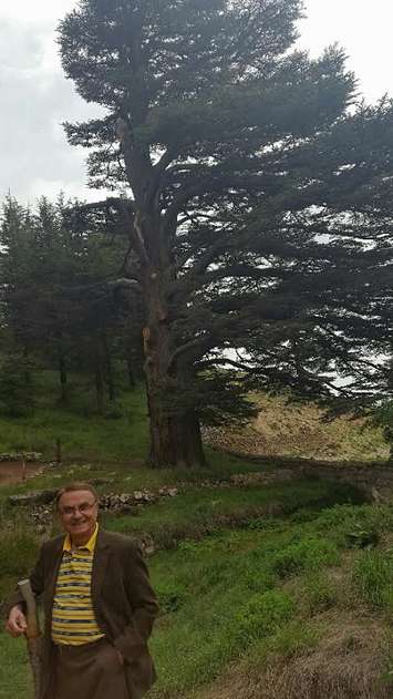 Sarnia Councillor Dave Boushy stands before a four thousand year old tree, within the Cedars of Lebanon. Submitted photo.