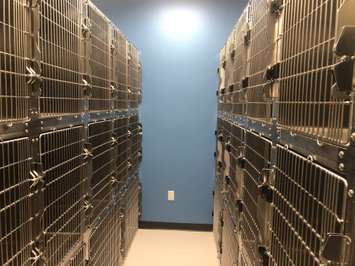 Inside the new animal shelter in Chatham. May 23, 2019. (Photo courtesy of Sophie Marvell and Kiana Mailloux)