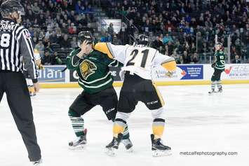 The London Knights take on the Sarnia Sting, February 7, 2016. (Photo courtesy of Metcalfe Photography)