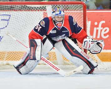 Michael DiPietro of the Windsor Spitfires. (Photo courtesy of Terry Wilson via OHL Images)