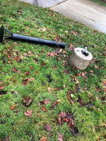 Kingston Park Vandalism 
 (Photo via Facebook)