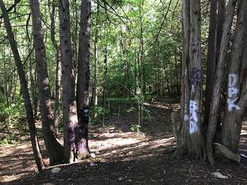 The graffiti was first reported to police in July 2019. Photo courtesy of the OPP.