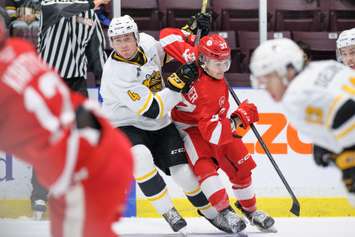 The Sarnia Sting taking on the Soo Greyhounds.  28 November 2021.  (Metcalfe Photography)