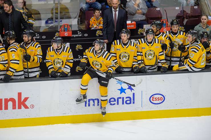 London Knights visit Sarnia Sting, January 1, 2025. Photo by Metcalfe Photography. 