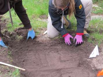 Western University students, Peter Dobrzynski and Alyssa Szilagyi uncovering Confederation-era tombstones at Woodland Cemetery, May 11, 2017. (Photo by Miranda Chant, Blackburn News.)
