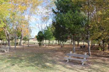 The new Trail at Harwich Raleigh Public School, October 23, 2015 (Photo by Jake Kislinsky)