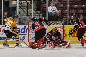 Michael McNiven in the Owen Sound goal vs the Sting Nov. 20, 2015 (Photo courtesy of Metcalfe Photography)