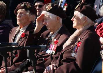 Veterans honoured at Remembrance Day ceremonies at the cenotaph in Windsor, November 11, 2014. (photo by Mike Vlasveld)