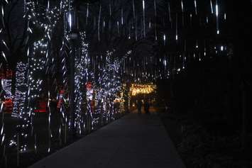 Bright Lights Windsor, Jackson Park, January 7, 2020. Photo by Mark Brown/Blackburn News.
