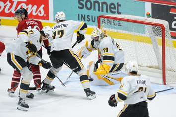 The Sarnia Sting taking on the Guelph Storm in Game 3 of the opening round playoff series. 4 April 2023. (Metcalfe Photography)