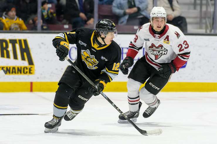 Guelph Storm at Sarnia, March 2, 2025. Photo by Metcalfe Photography. 