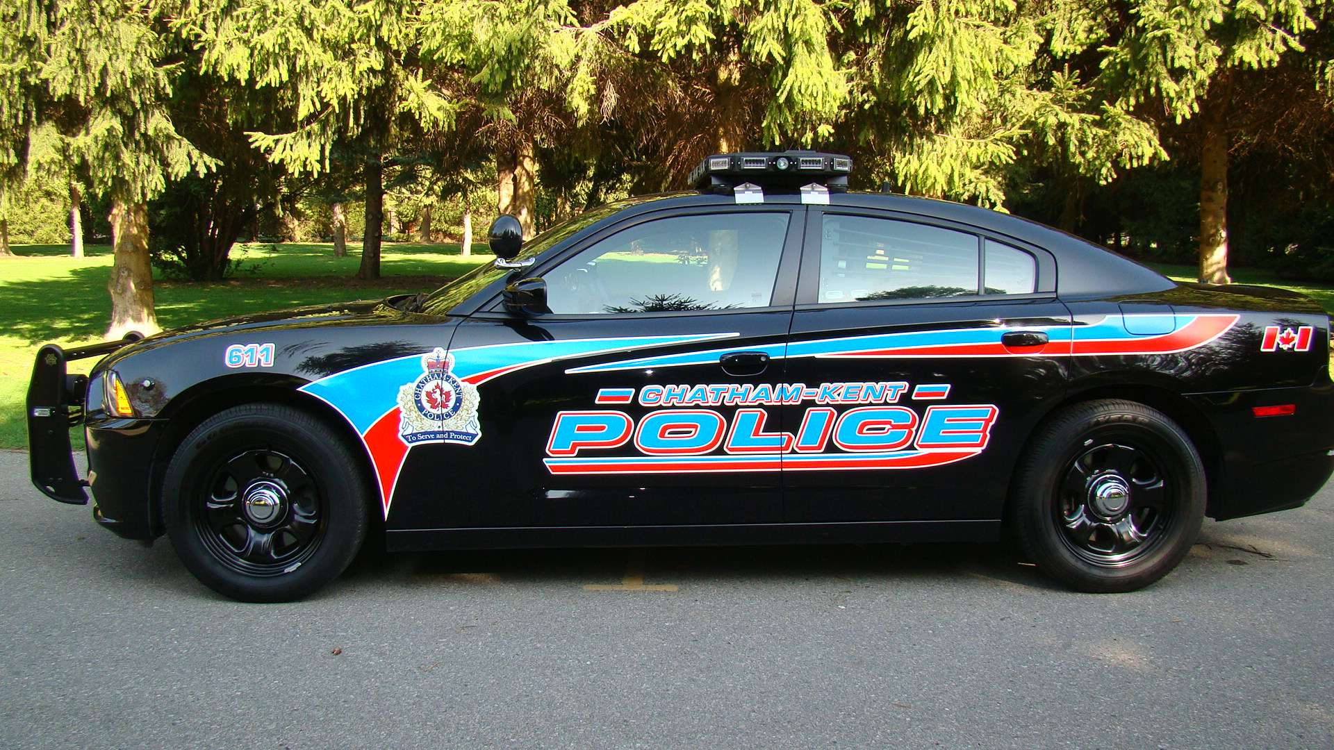 Apple tree stops teen driver being chased by cops