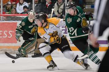 The London Knights take on the Sarnia Sting, December 31, 2014. (Photo courtesy of Metcalfe Photography)