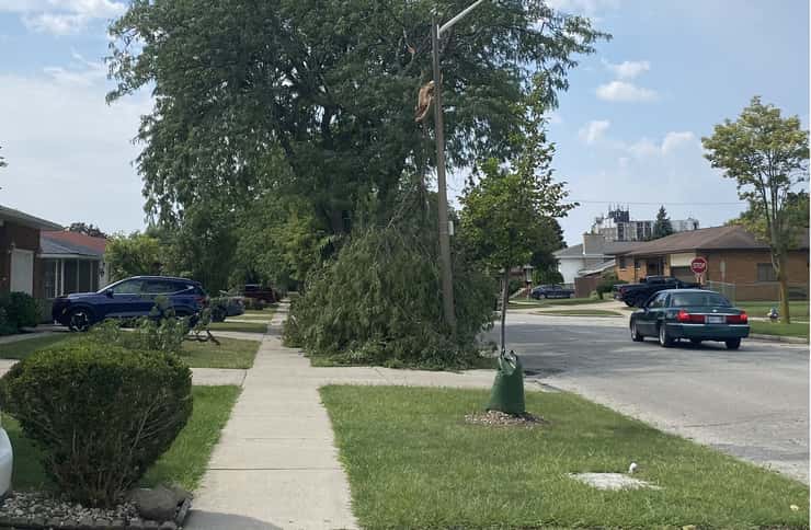 Storm damage is shown in Windsor's Forest Glade area, September 3, 2026. Photo by Adelle Loiselle/WindsorNewsToday.ca