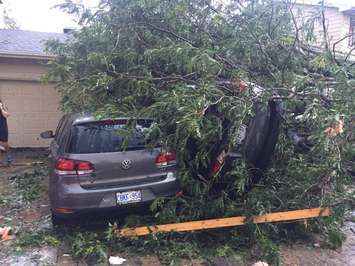 The aftermath of a tornado that touched down in the Ottawa area, September 21, 2018. (Photo courtesy of Heather Badenoch via Twitter)  