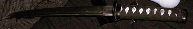 Photo courtesy of the Sarnia Police Service.