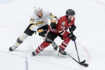 The Sarnia Sting taking on the Guelph Storm in Game 3 of the opening round playoff series. 4 April 2023. (Metcalfe Photography)