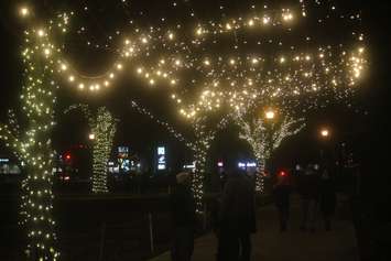 Bright Lights Windsor, Jackson Park, December 6, 2019. Photo by Mark Brown/Blackburn News.