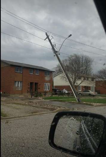 Hydro pole down on Wedgewood Ave. in Chatham. (Photo courtesy of Heather Clifford via Facebook).