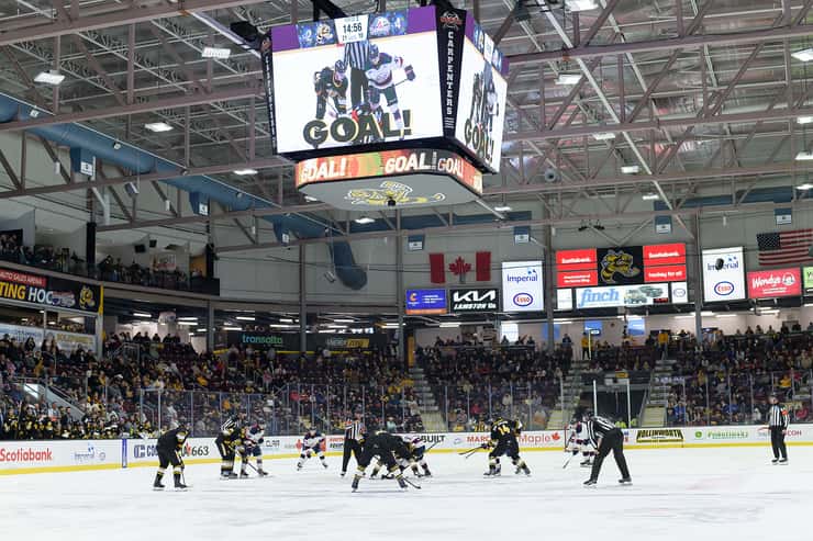 Saginaw at Sarnia Sting, March 15, 2026. Photo by Metcalfe Photography. 