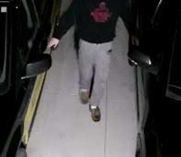 One of three suspects alledged to have stolen items from four vehicles.