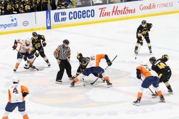 The Sarnia Sting take on the Flint Firebirds from The Hive.  8 January 2022.  (Metcalfe Photography)